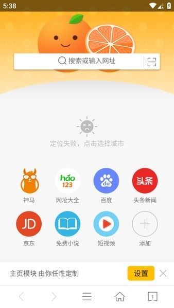 桔子浏览器截图2